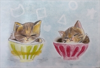 �z�b�R����1